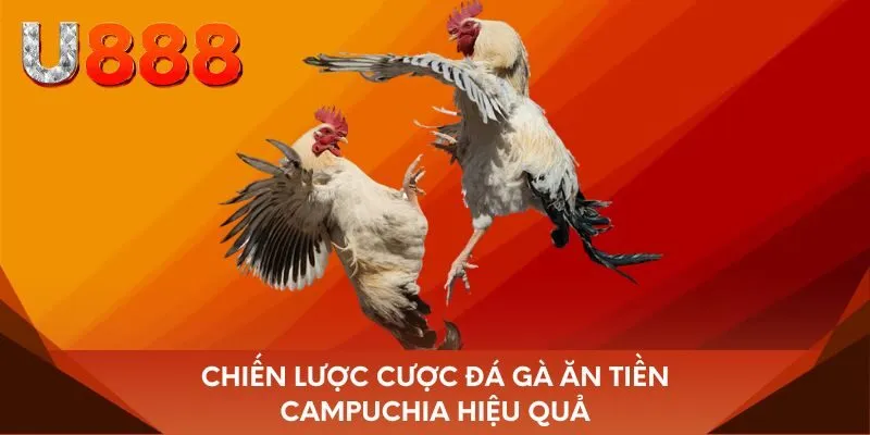 Chiến lược cược đá gà ăn tiền Campuchia hiệu quả