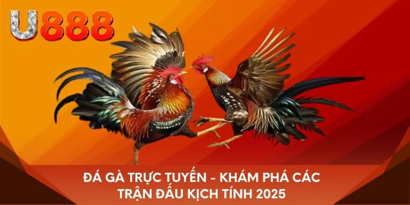 Đá gà trực tuyến - Khám phá các trận đấu kịch tính 2025