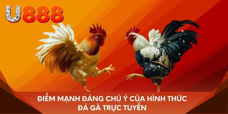 Điểm mạnh đáng chú ý của hình thức đá gà trực tuyến
