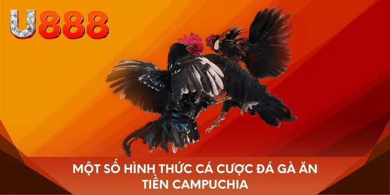 Một số hình thức cá cược đá gà ăn tiền Campuchia