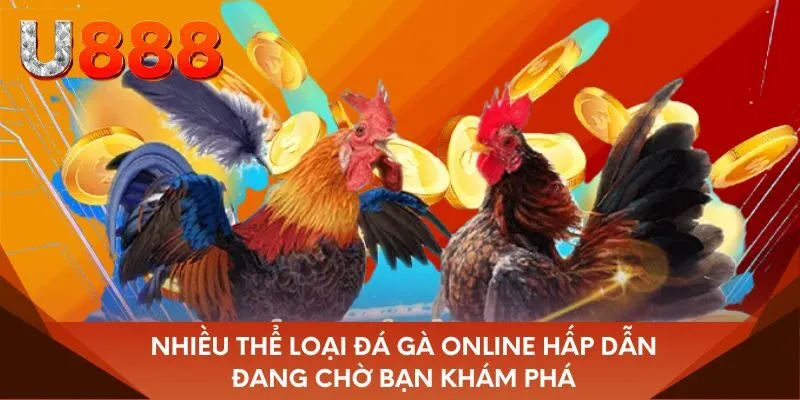 Nhiều thể loại đá gà online hấp dẫn đang chờ bạn khám phá