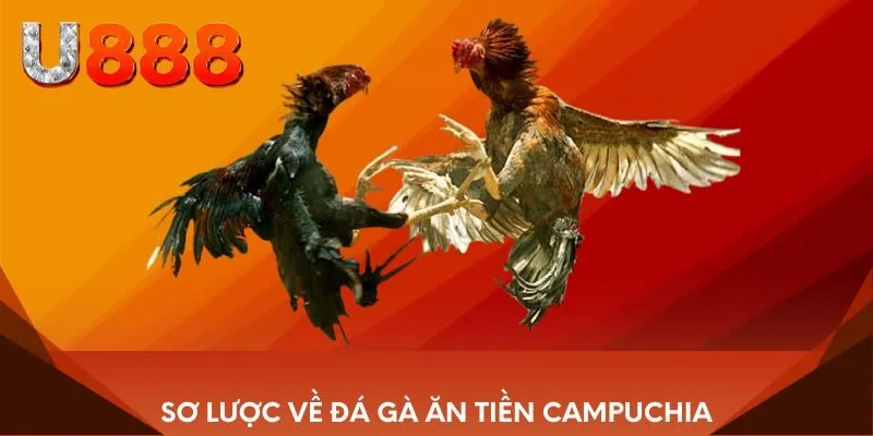 Sơ lược về đá gà ăn tiền Campuchia