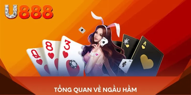 Tổng quan về Ngầu Hầm